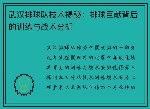 武汉排球队技术揭秘：排球巨献背后的训练与战术分析
