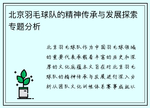 北京羽毛球队的精神传承与发展探索专题分析