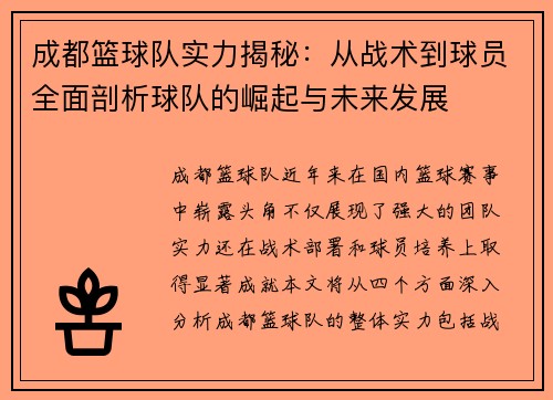 成都篮球队实力揭秘：从战术到球员全面剖析球队的崛起与未来发展