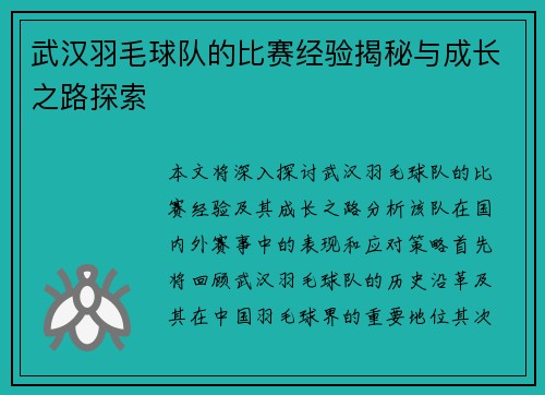 武汉羽毛球队的比赛经验揭秘与成长之路探索